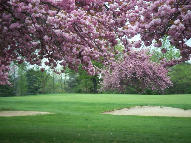 Mountain View GC